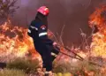 Αυτόματο προσχέδιο